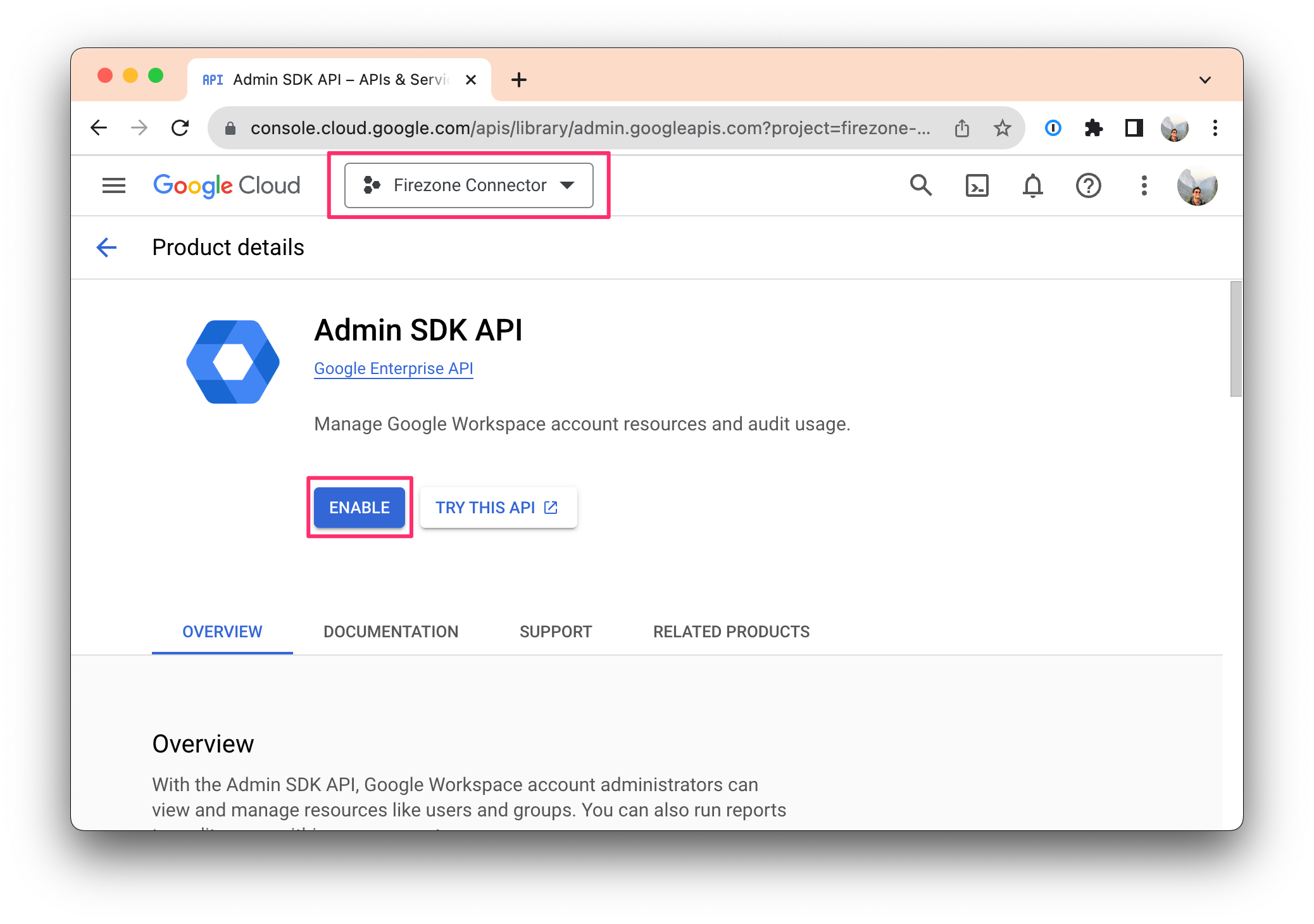 Enable Admin SDK API